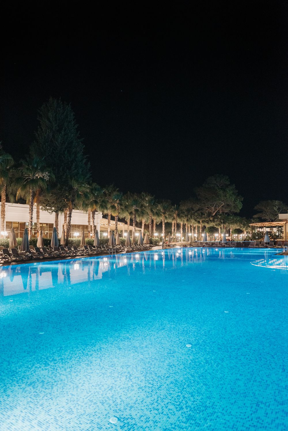 Resort pool with palm trees at dusk